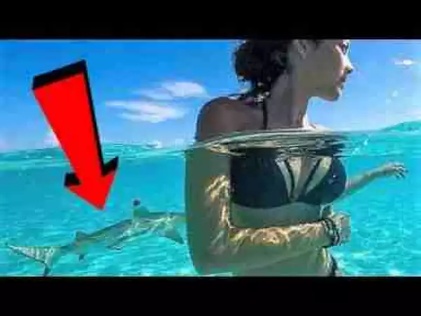 Video: MOST Shark Infested Waters